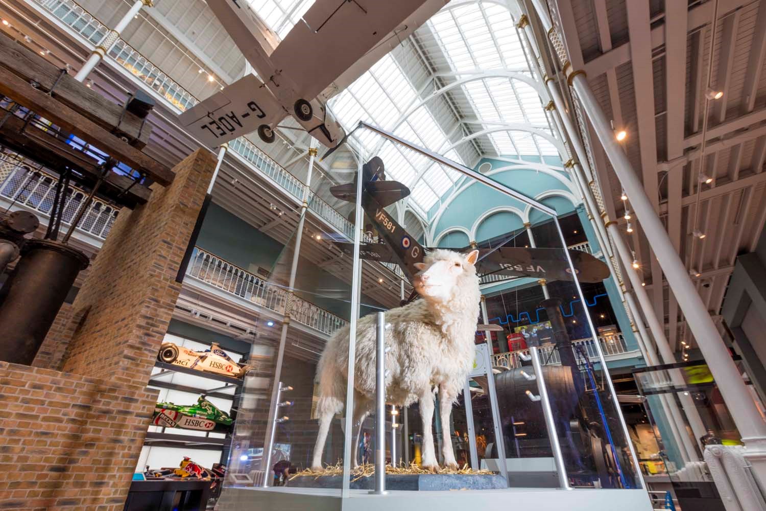 Dolly the sheep in a glass case surrounded by vehicle displays in the Science and Technology galleries. 