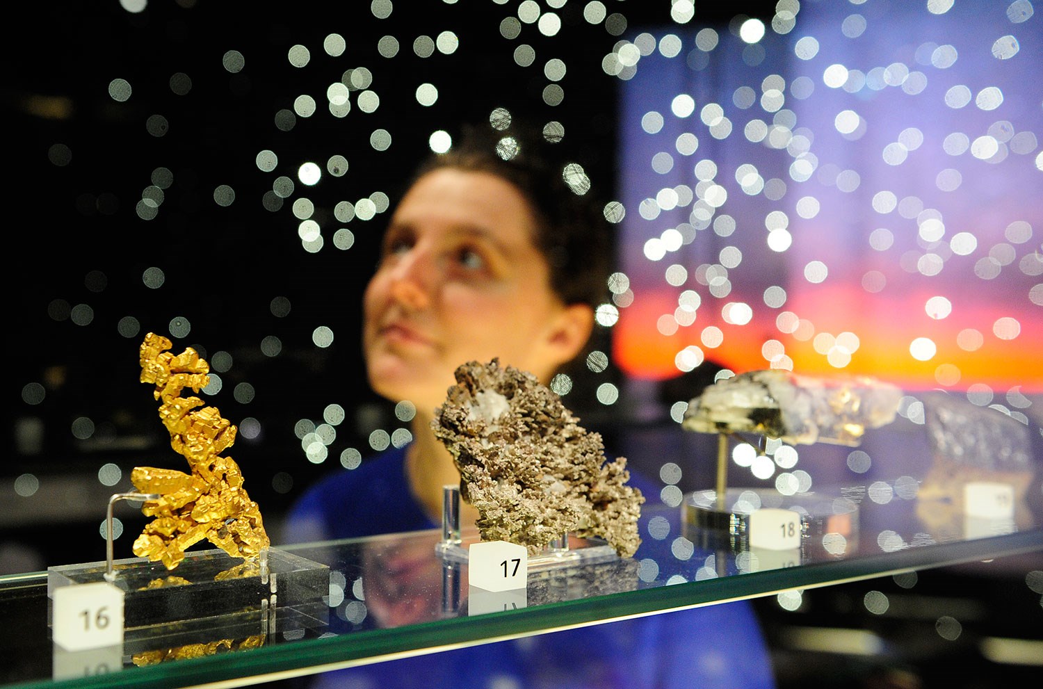 Specimens in the Earth in Space gallery. 